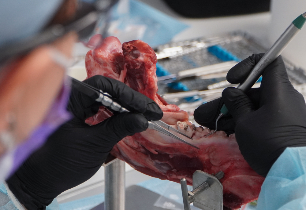 SITE_COVER-TPR_2026